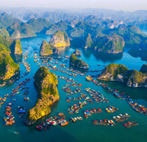 Đảo Cát Bà